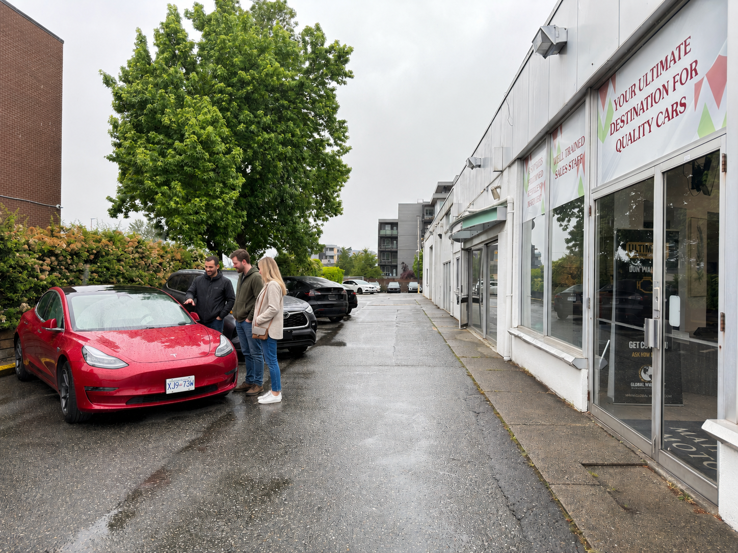 Mainland Motors dealership lot
